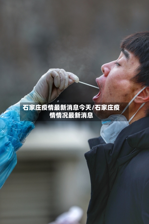 石家庄疫情最新消息今天/石家庄疫情情况最新消息-第3张图片