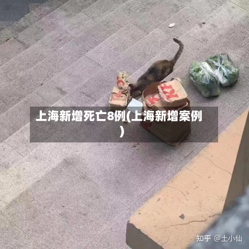 上海新增死亡8例(上海新增案例)-第2张图片