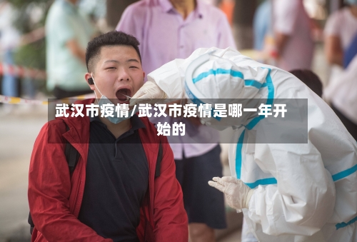 武汉市疫情/武汉市疫情是哪一年开始的