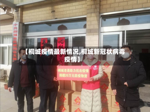 【桐城疫情最新情况,桐城新冠状病毒疫情】-第2张图片