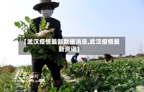 【武汉疫情最新数据消息,武汉疫情最新资讯】