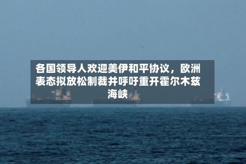各国领导人欢迎美伊和平协议，欧洲表态拟放松制裁并呼吁重开霍尔木兹海峡