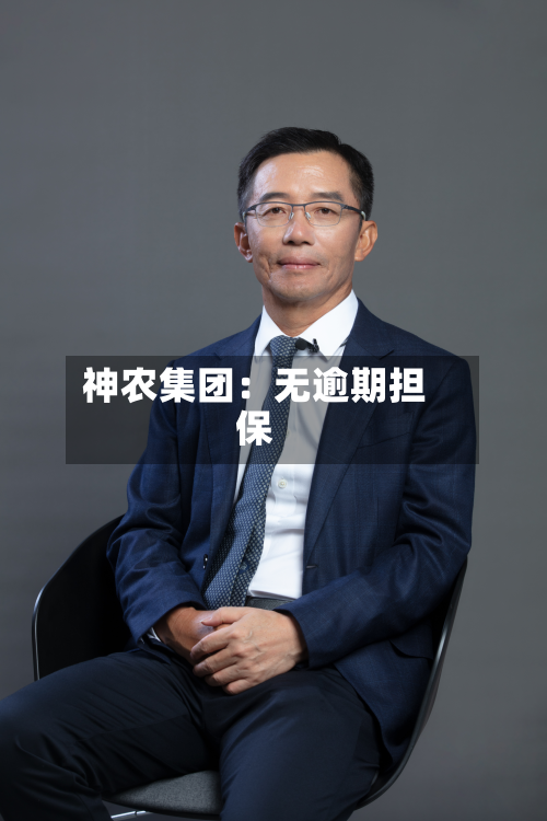 神农集团:无逾期担保-第2张图片