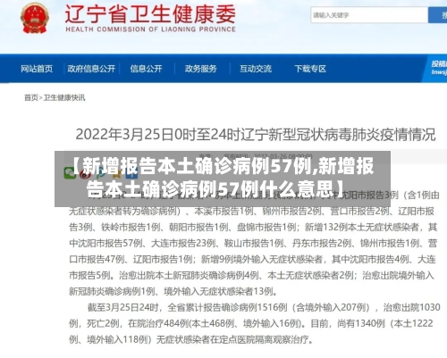 【新增报告本土确诊病例57例,新增报告本土确诊病例57例什么意思】-第2张图片