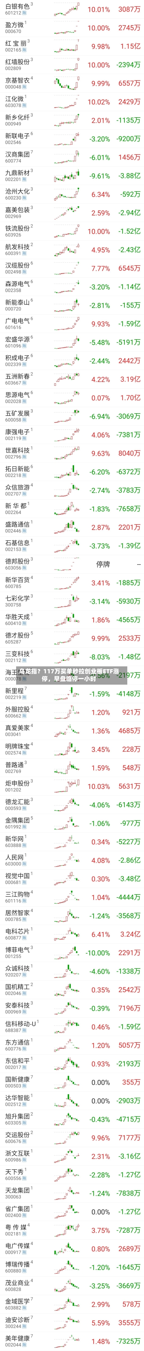 乌龙指？117万买单秒拉创业板ETF涨停，早盘临停一小时-第2张图片