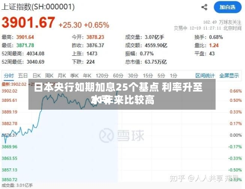 日本央行如期加息25个基点 利率升至31年来比较高
水平-第3张图片
