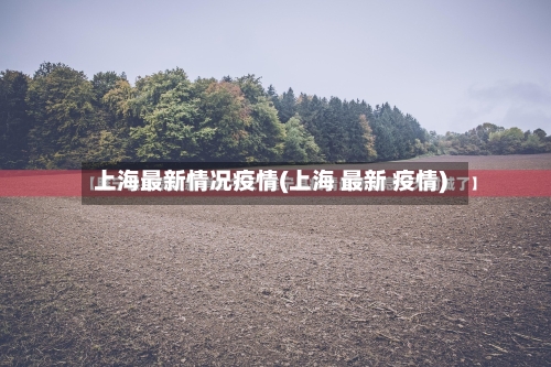 上海最新情况疫情(上海 最新 疫情)-第2张图片