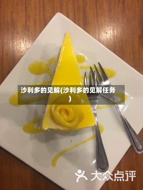 沙利多的见解(沙利多的见解任务)-第2张图片